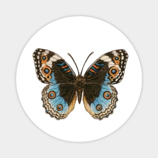 Blue Pansy Butterfly Magnet